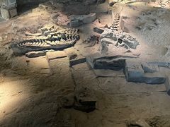 -自贡恐龙博物馆