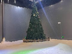 -宁波冰雪大世界(北仑区)