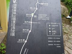 -牛背梁国家森林公园