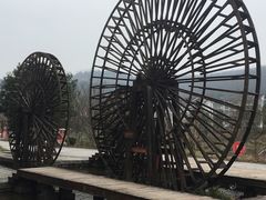 -印象鲵宴·张家界地标美食名片(溪布街店)