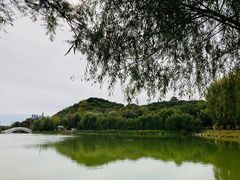 -北山公园
