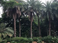 -黄埔荔枝公园