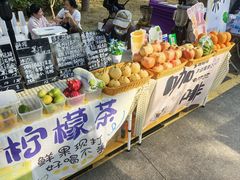 -东莞植物园