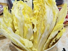 -顺德哥卜卜贝(旗舰店)