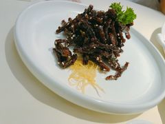 -圆苑(上海广场店)