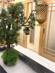 -芳朵美容养生SPA