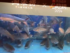 -淘米捞·米汤脆鲩鱼火锅(福田皇岗店)