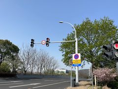 -长广溪湿地公园