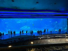 -珠海长隆海洋王国