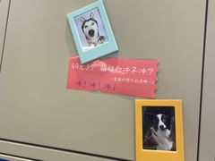 -海马体照相馆(大连柏威年购物中心店)