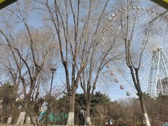 -万泉公园