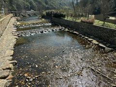 -北仑森林植物园