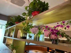 -九鼎轩脆毛肚火锅(商业街店)