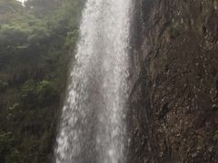 -旗山国家森林公园