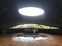 -大湾区中央湿地公园