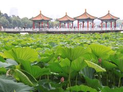 -长春市南湖公园