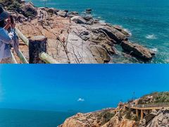 -广东惠东海龟国家级自然保护区