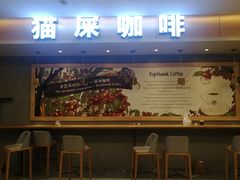门面-猫屎咖啡(日月光中心广场店)