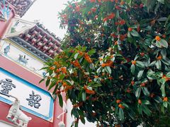 -韶山毛泽东同志故居