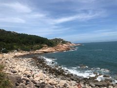 -广东惠东海龟国家级自然保护区