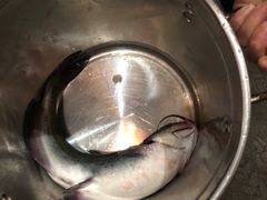 -雲蜀龙阁·金牌水煮鱼(方庄店)