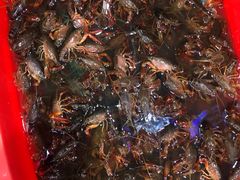 -老北京涮羊肉·龙虾.烧烤(江镇店)