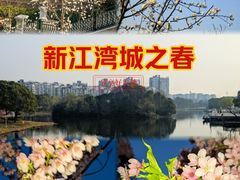 -新江湾城公园