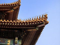 -故宫博物院(故宫)