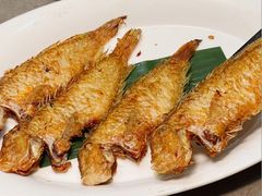 -阿诚市井潮汕菜(金台路店)