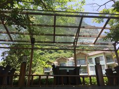 -广悦华阳朔河畔度假酒店(十里画廊遇龙河店)