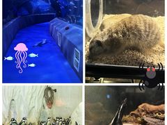 -太平洋海底世界