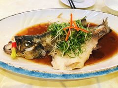 -东方之珠国际商务(和平店)