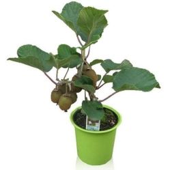 -Oasis Beauty水磨坊科技美肤中心