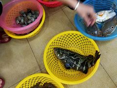 -春园海鲜广场D区6号(钟姐海鲜加工店)