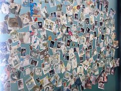 -pd派德宠物中心医院24H急重症·眼科中心·血液透析中心(嵩山北路店)