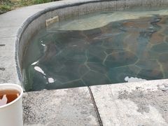 -太白山御龙湾温泉