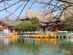 点击看大图 -王府花园酒店·宴会厅