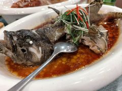 -永記粤菜·五指毛桃花雕鸡煲(九亭店)
