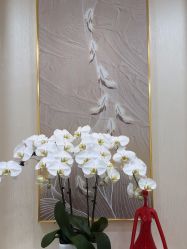 -JUVA欧华医美连锁
