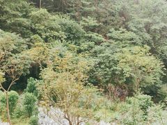 -水磨古镇