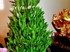 -宫七SPA·高端Massage(浦东大道店)