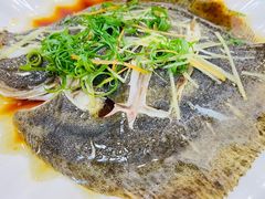 清蒸多宝鱼-明记海鲜美食老字号(明记总店)