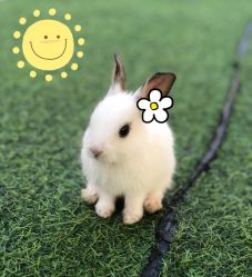 -萌宠亲子动物乐园(槐房万达店)