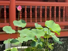 -曼谷国家博物馆