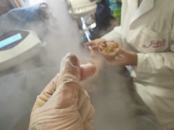 -姐魅·科技美肤·斑敏痘