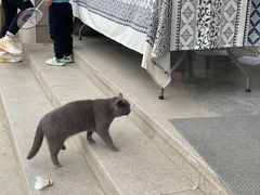 -杭州屏风山越野车营地·团建别墅轰趴民宿