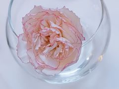 -眉州东坡(亚运村店)