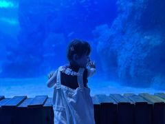 -左海海底世界