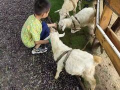 -HERRE·FARM 赫尔露营农场·团建聚会包场