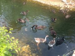 -长白岛森林公园